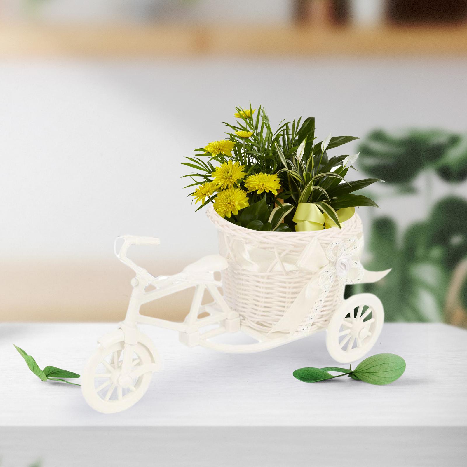 人工自転車の花のバスケット,花瓶,ミニ三輪車のプランター,植 - Wedding Hampers のレビューと価格