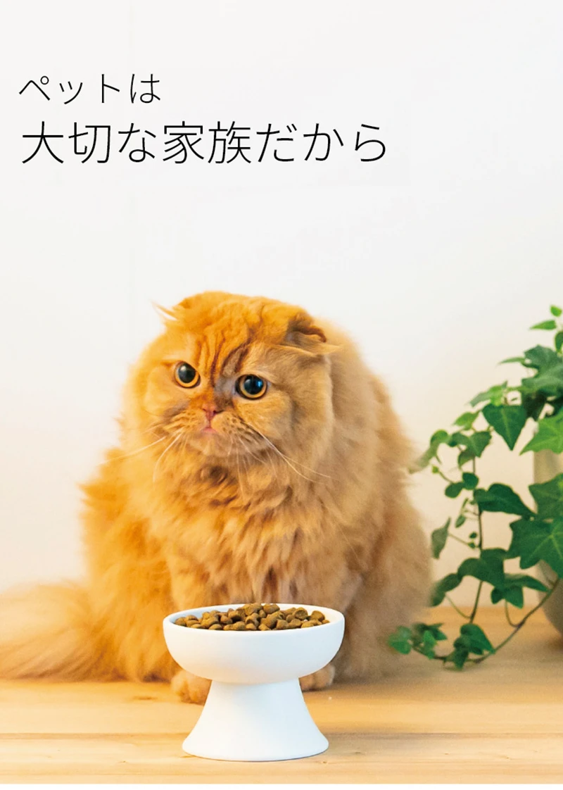新しいセラミック製ペットボウル、和風猫用高足水食ボウル、犬用 - Wedding Water Supply のレビューと価格